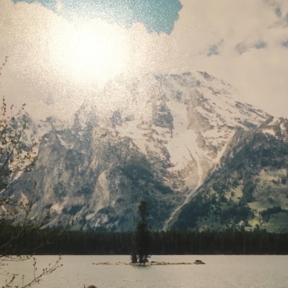 Meet your Posher, Colin - Picture 1 of 1